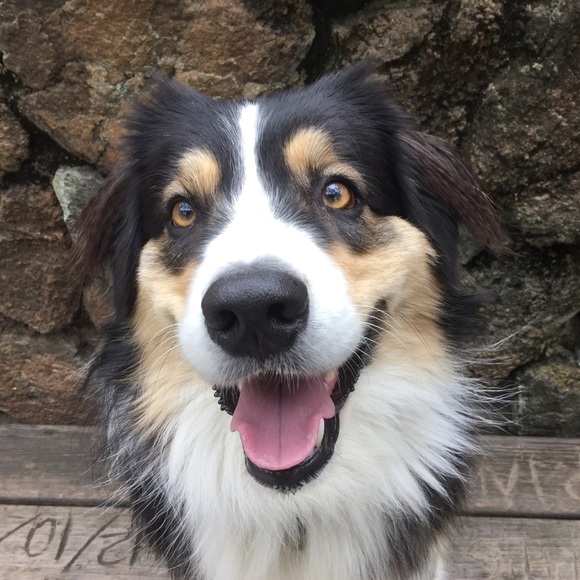 Meet your Posher, Anne ⭐️ Posh Ambassador ⭐️ - Picture 2 of 4